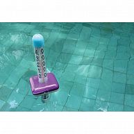 Термометр "Evolution Jumbo" для измерения температуры воды в бассейне, арт.AQ12226